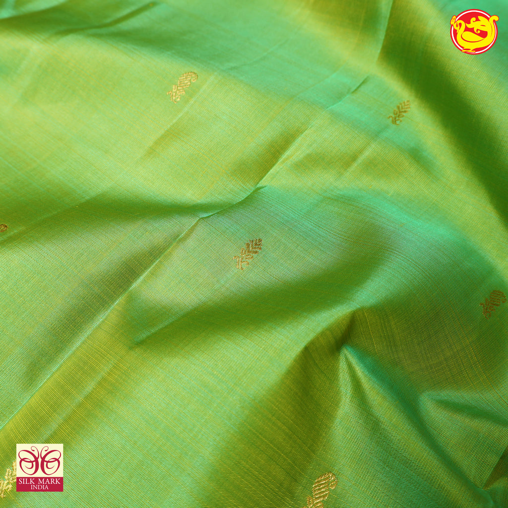 Parrot Green Zari Saree